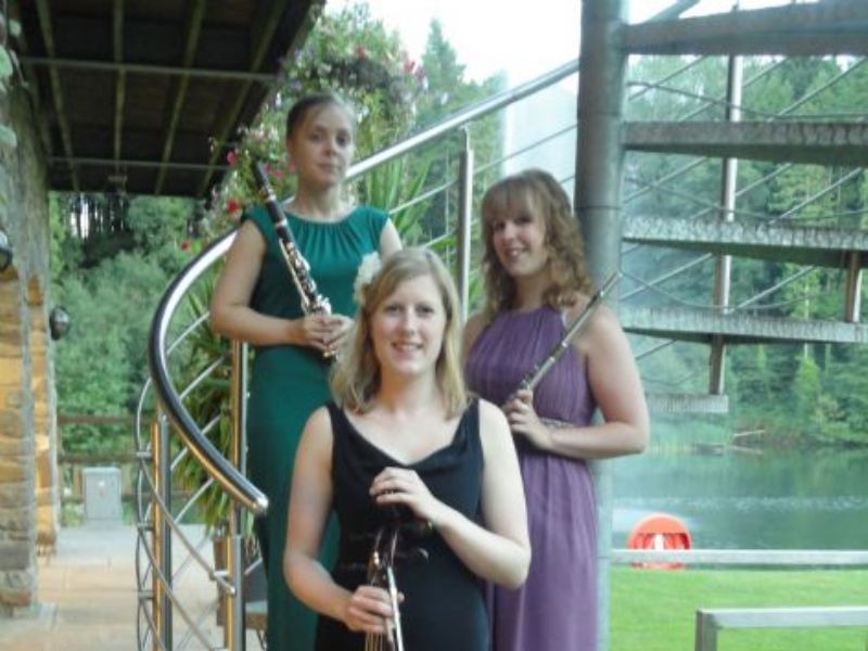 fiesta classical trio